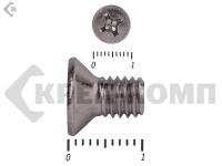 Винт потайной НЕРЖАВЕЙКА DIN965 А2 6х 10 (50шт)