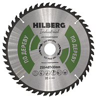 Диск 250*30*48Т, пильный по дереву Hilberg Industrial (1 шт.) 